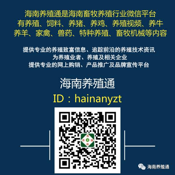 冷水观赏鱼什么鱼最好养_十大冷水观赏鱼_冷水观赏鱼大全品种图片