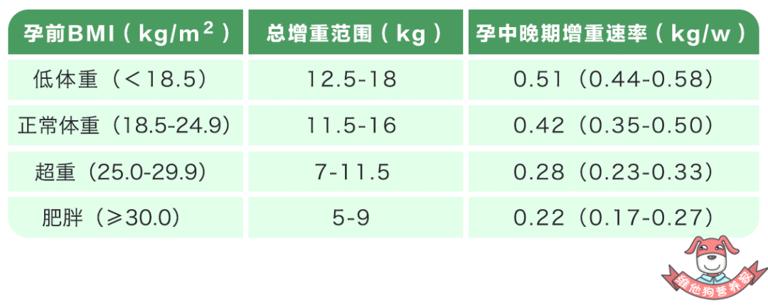 狗狗怀孕补充营养吃什么_狗狗怀孕吃什么有营养_狗狗怀孕吃些什么营养品