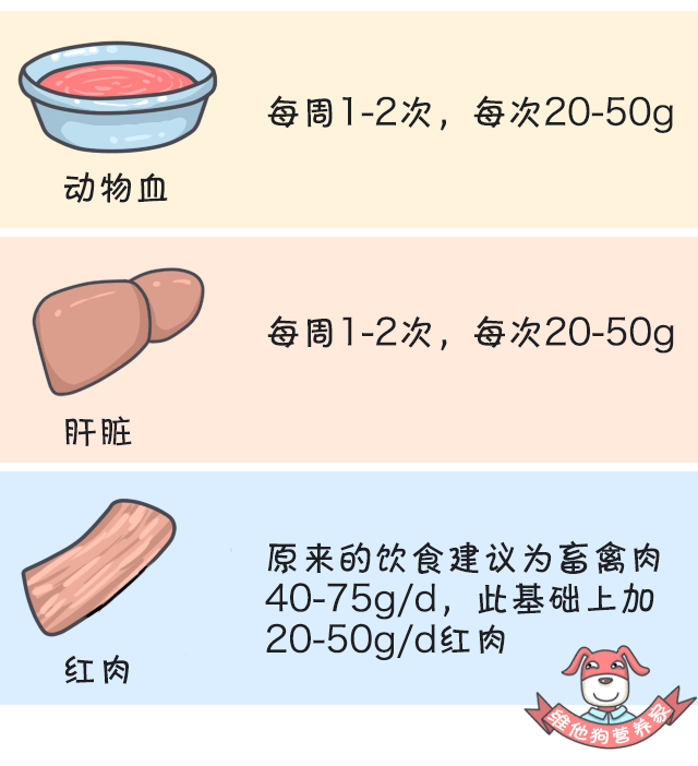 狗狗怀孕吃些什么营养品_狗狗怀孕吃什么有营养_狗狗怀孕补充营养吃什么