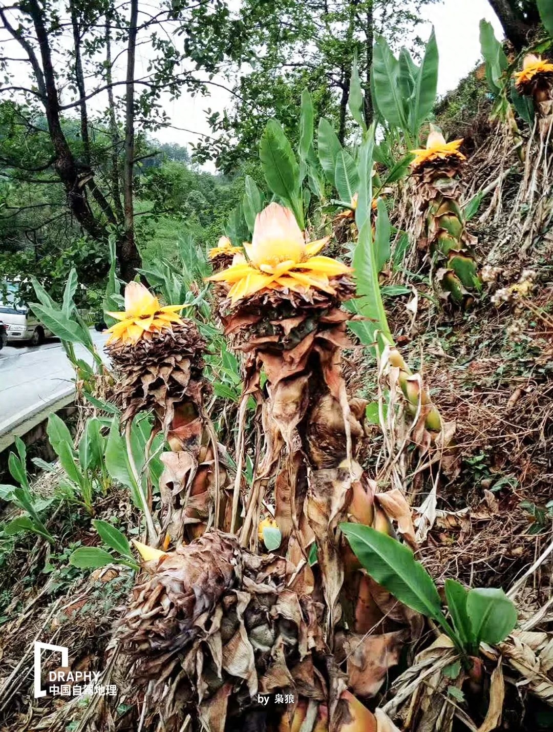 攀枝花旅游攻略自驾游_攀枝花有哪些景点可以自驾游_攀枝花周边自驾一日游