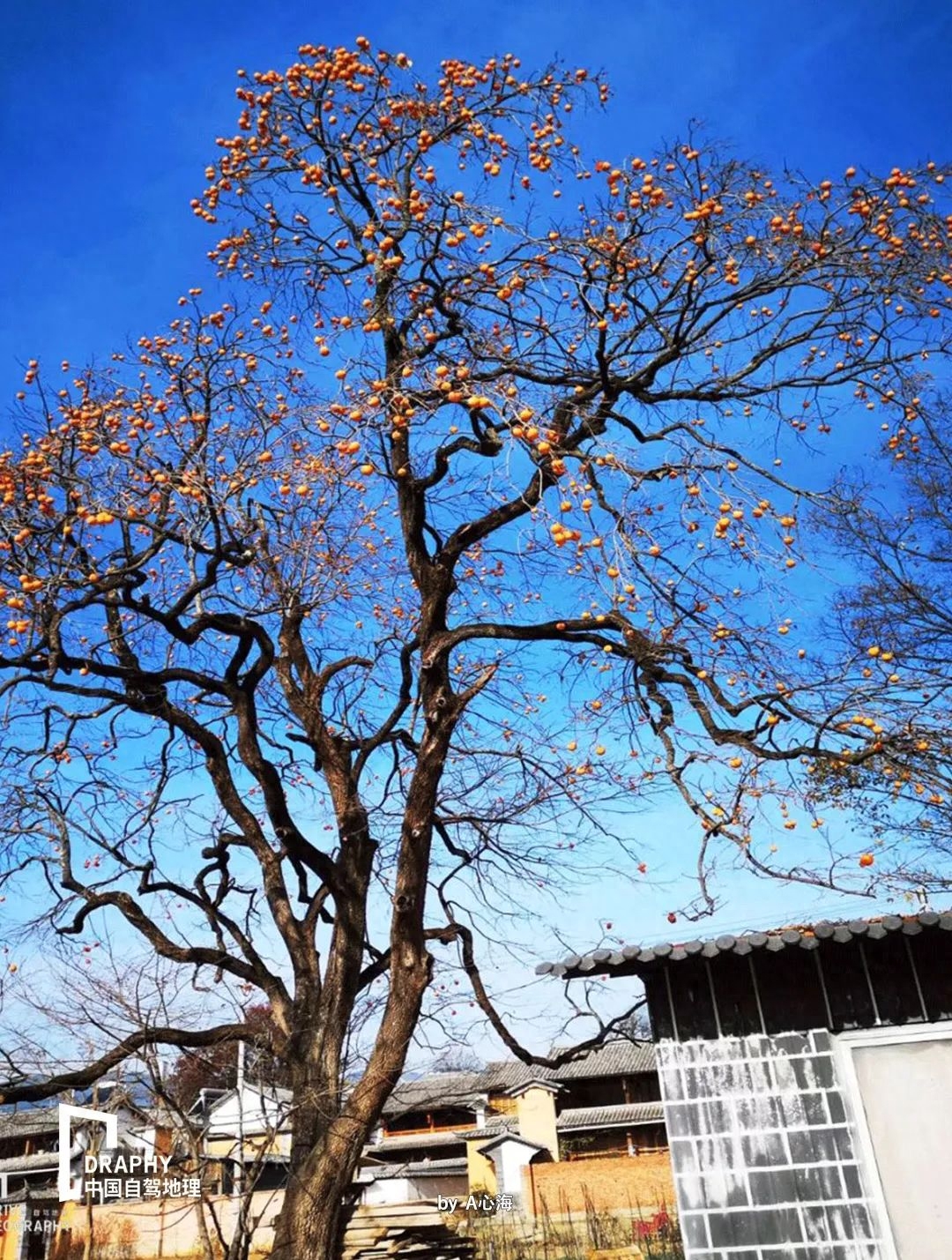 攀枝花旅游攻略自驾游_攀枝花有哪些景点可以自驾游_攀枝花周边自驾一日游