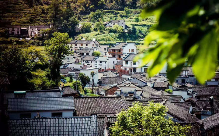 黄山自驾攻略旅游去哪里好玩_自驾去黄山旅游攻略_黄山自驾游最佳路线