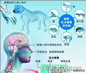 给狗狗咬出点血需要打狂犬疫苗吗？