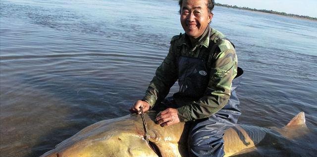 大型淡水观赏鱼_淡水中大型观赏鱼_观赏淡水鱼大型品种