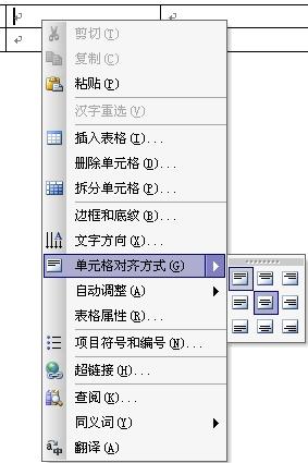 在表格中添加文字_word表格上面怎么添加文字_表格外添加文字