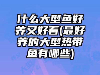 什么大型鱼好养又好看(最好养的大型热带鱼