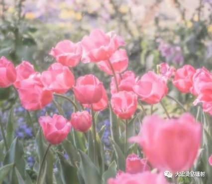 祝福语的语怎么写_三八节祝福语怎么写_祝福语节日