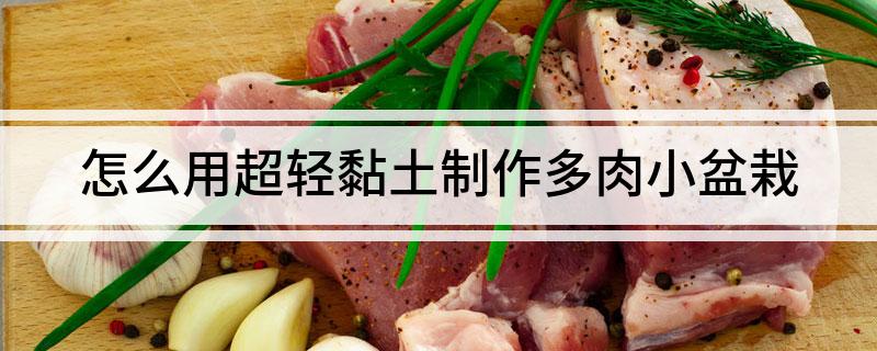 怎么用超轻黏土制作多肉小盆栽