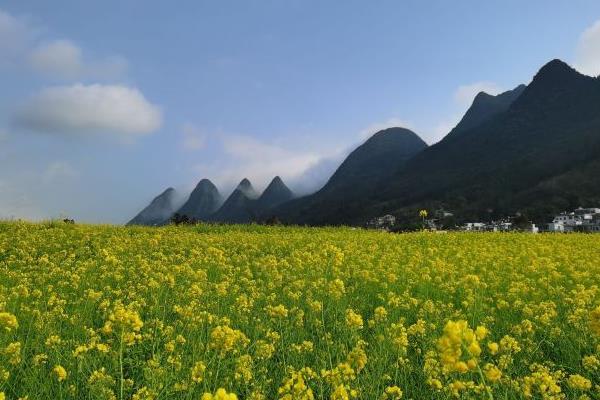 贵州旅游景点万峰林_航拍贵州万峰林_贵州万峰林风景区旅游攻略