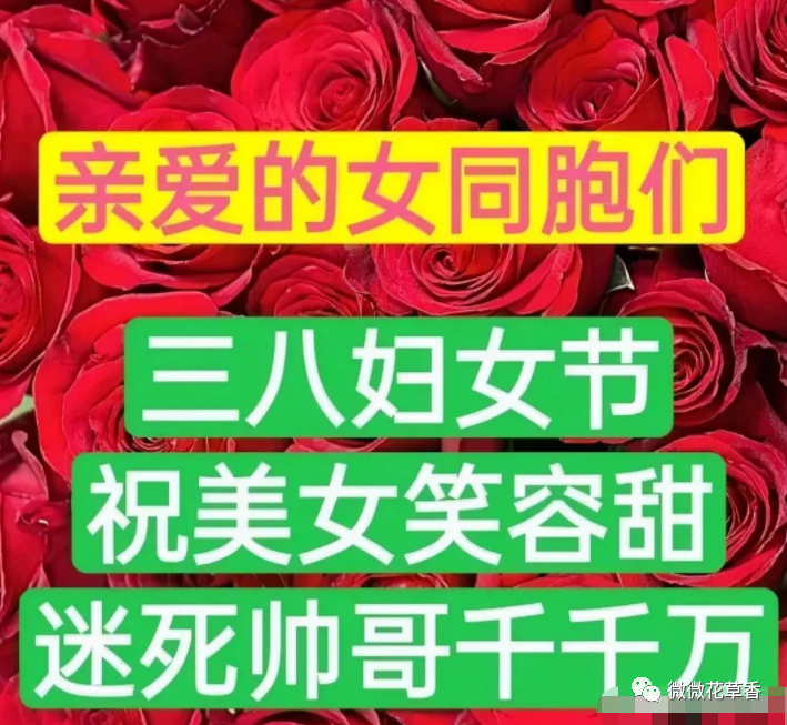 妇女节语录_妇女节的话语暖心简短_三八妇女节语句