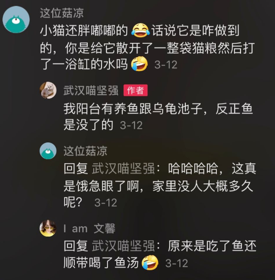 小鱼观赏鱼生病怎么办_观赏小鱼生了小鱼_观赏鱼生小鱼