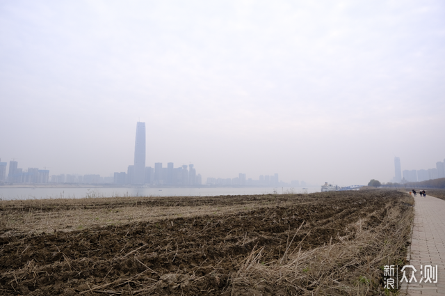 武汉观赏鱼市场_武汉最大观赏鱼市场_武汉鱼市场在哪里