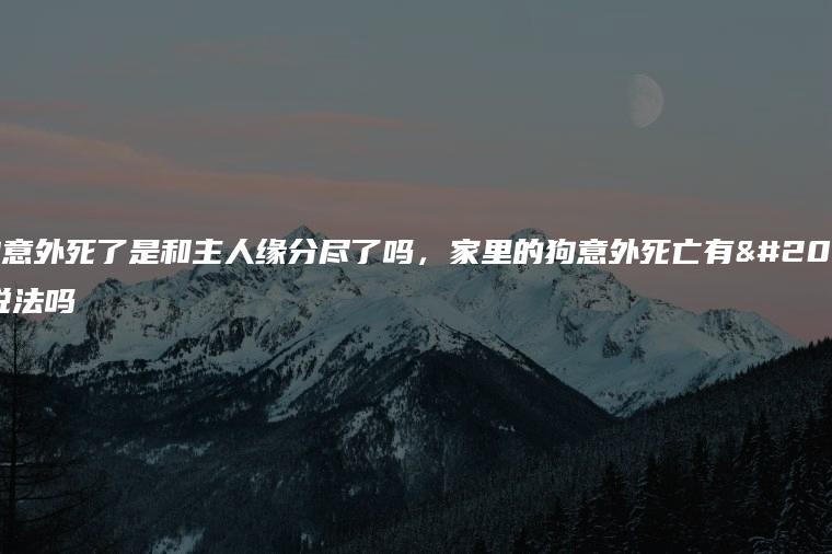 狗狗被车撞死了预示着什么_狗狗预示撞死车什么预兆_狗撞车死了主人运势