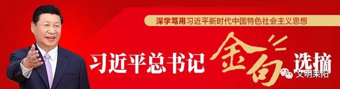 城镇化工作_城乡治理标准化工作总结_城镇化治理