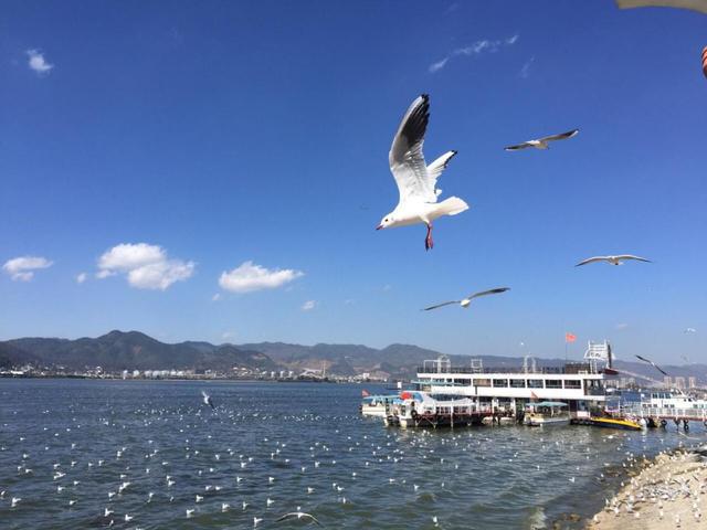 百度西双版纳旅游景点_广西西双版纳旅游景点攻略自由行_云南西双版纳旅游景点大全排行