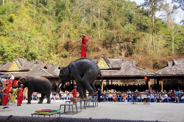 云南西双版纳旅游景点大全排行_广西西双版纳旅游景点攻略自由行_百度西双版纳旅游景点