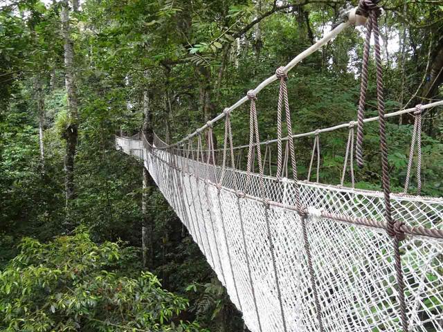 云南西双版纳旅游景点大全排行_百度西双版纳旅游景点_广西西双版纳旅游景点攻略自由行