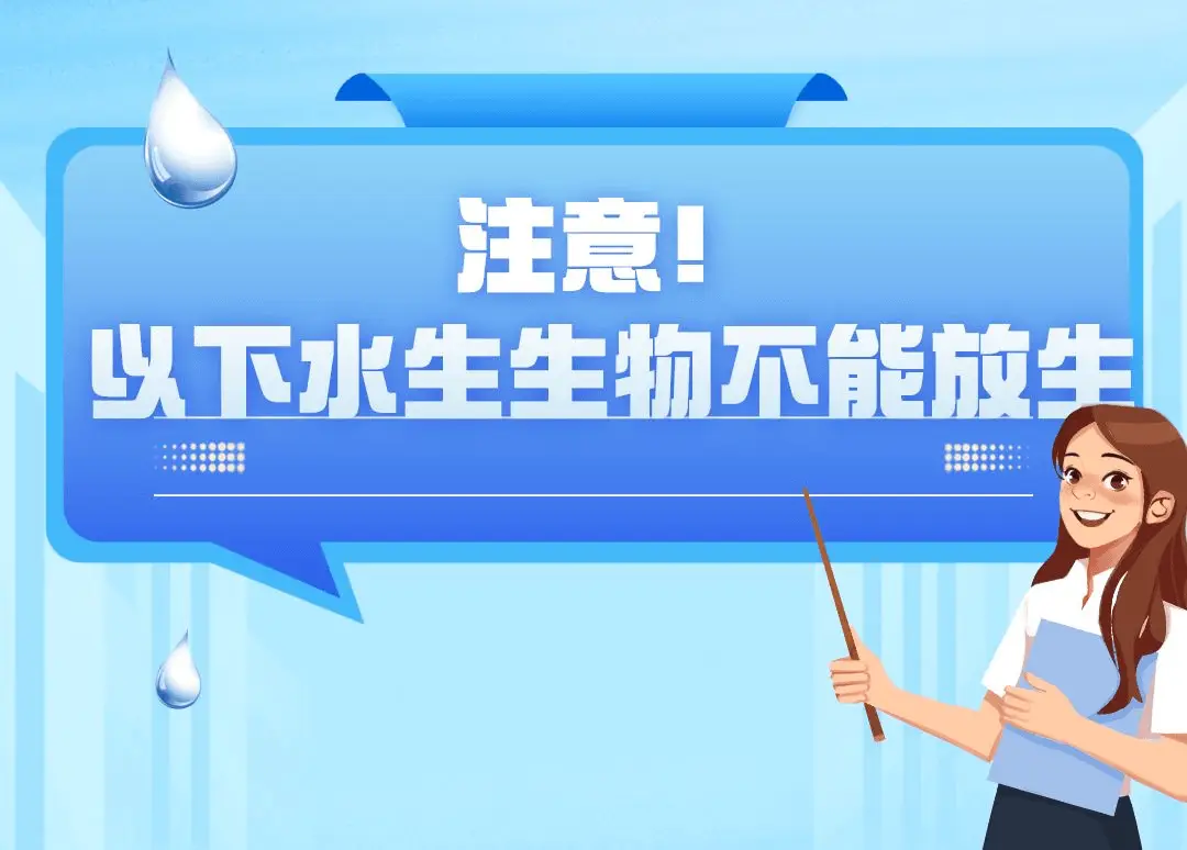 观赏鱼罗非鱼是淡水鱼吗_罗非鱼是观赏鱼吗_观赏鱼罗非鱼是什么鱼