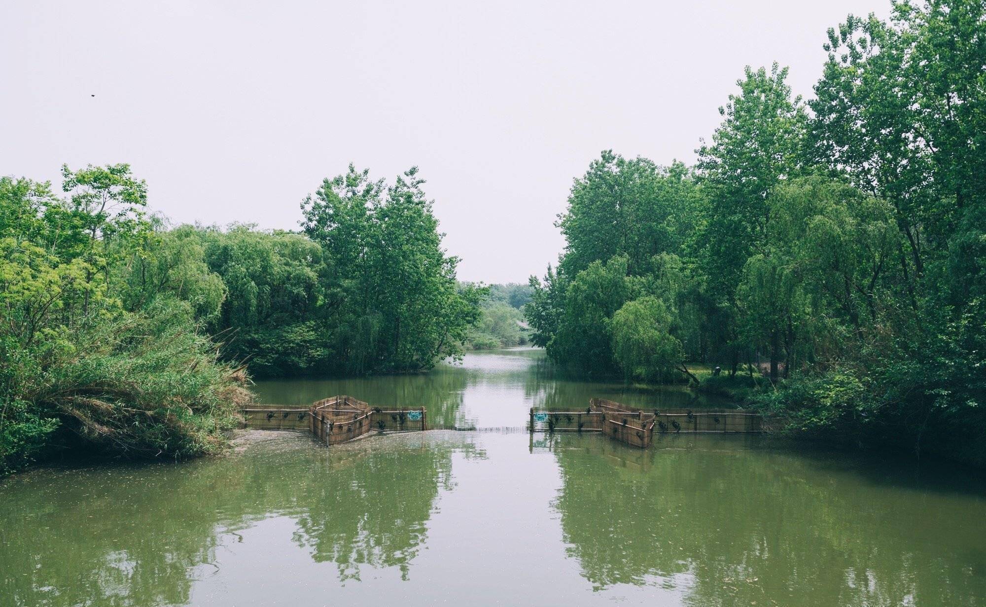 溱湖湿地公园导游图_溱湖湿地公园游记_溱湖湿地公园游玩攻略