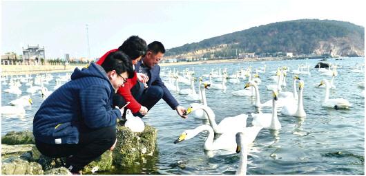 威海攻略旅游三日游_威海三日游最佳路线_威海三日游自由行攻略