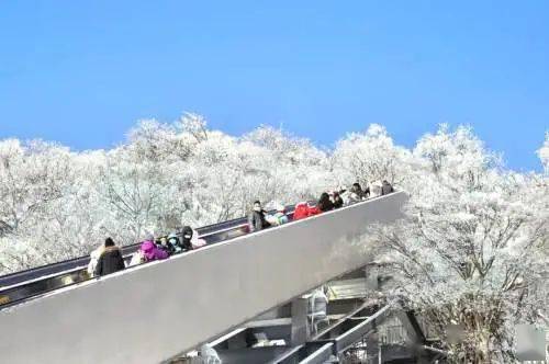 汉中龙头山旅游攻略_汉中龙头山是什么山脉_汉中龙头山风景图片