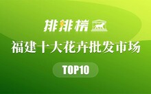 平顶山鱼市场在哪_平顶山市批发鱼的市场在哪里_平顶山观赏鱼批发市场