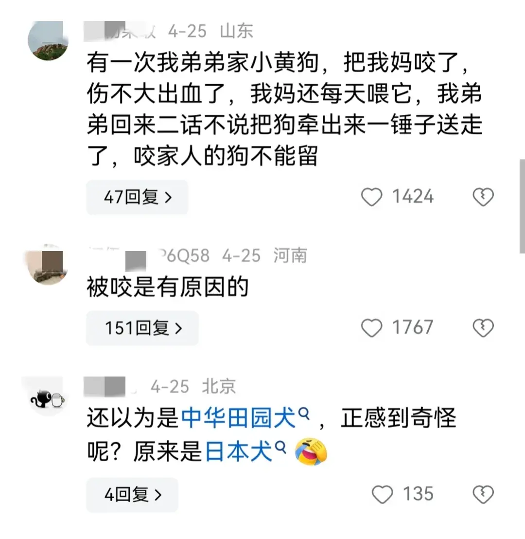 和养的狗做了几年_养狗有年龄限制吗_养狗年审