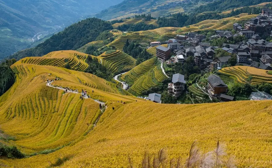 桂林自驾游的景点推荐_桂林自驾游玩攻略_桂林自驾游旅游攻略必去景点