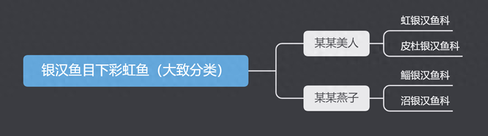 那些被冠以“美人”之名的观赏鱼