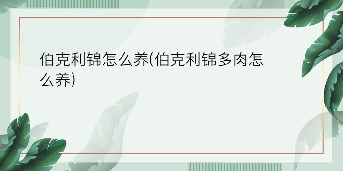 怎样养多肉颜色才好看_室内养多肉怎么出颜色_室内多肉怎么养才能出颜色